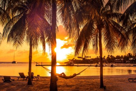 image of a sunset from a beach with trees and hammocks